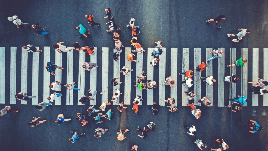 An aerial view of people walking in a crosswalk.