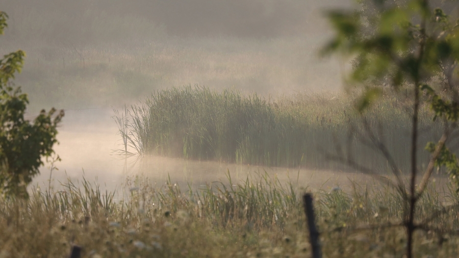 Wetlands in Lynde Shores, part of the Ontario Greenbelt.