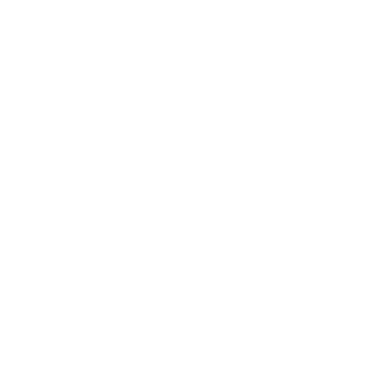 privacy and transparency in modern government icon