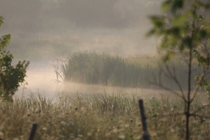 Wetlands in Lynde Shores, part of the Ontario Greenbelt.
