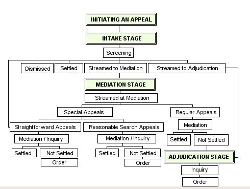 Appeal Process